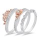 Crystal Rose Stackable Band Set in Titanium steel and Rose Copper and zinc alloy